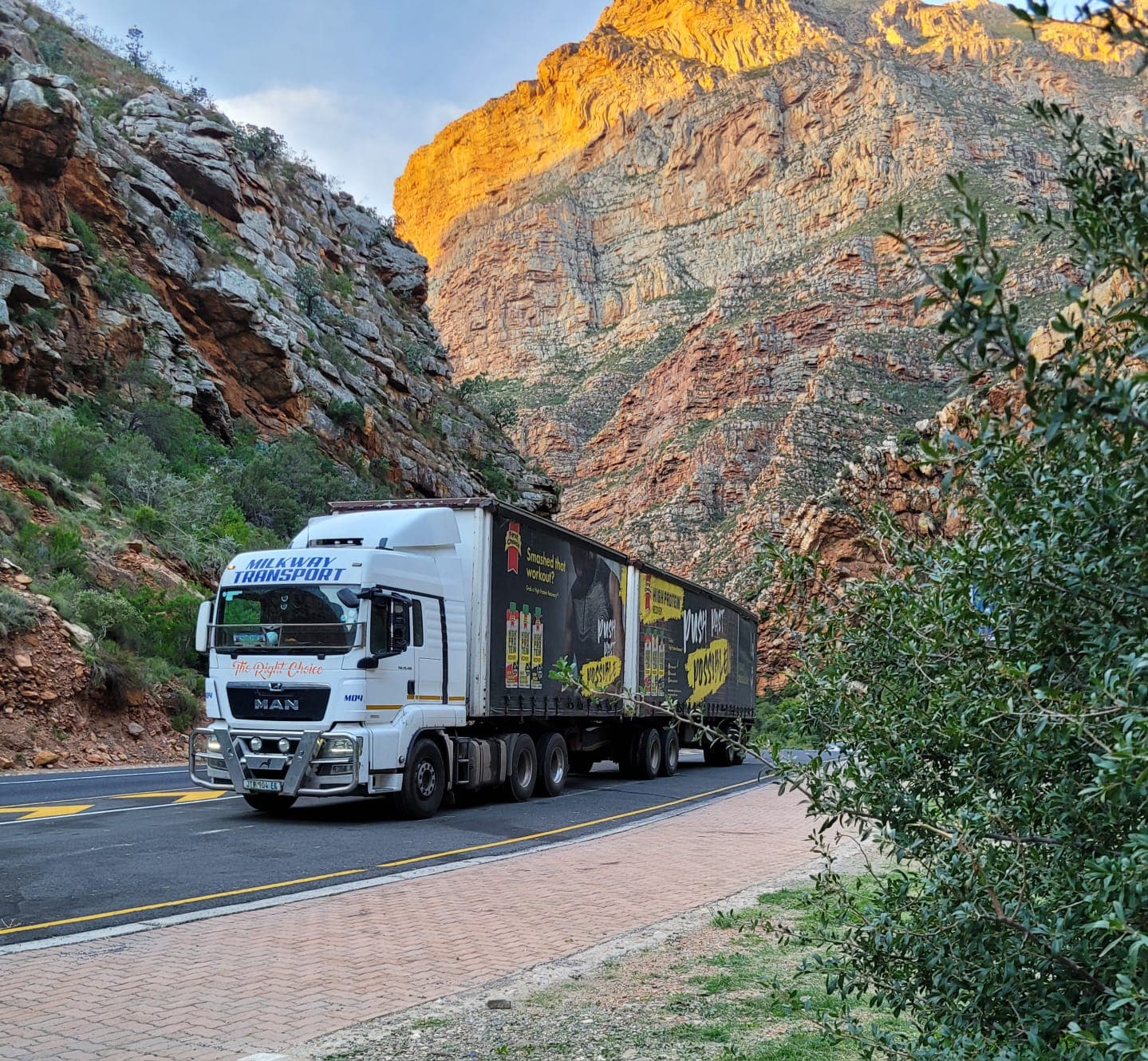Milkway Transport